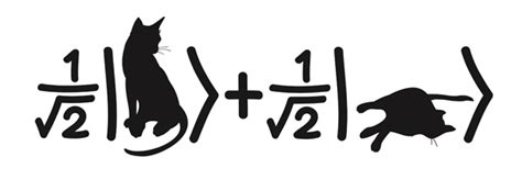 럿거스 대학교: 고양이도 이해할 수 있는 양자역학 강의?